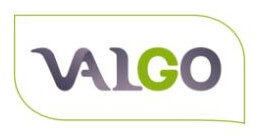 Logo Valgo