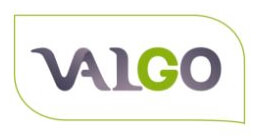 Logo Valgo Logo Valgo