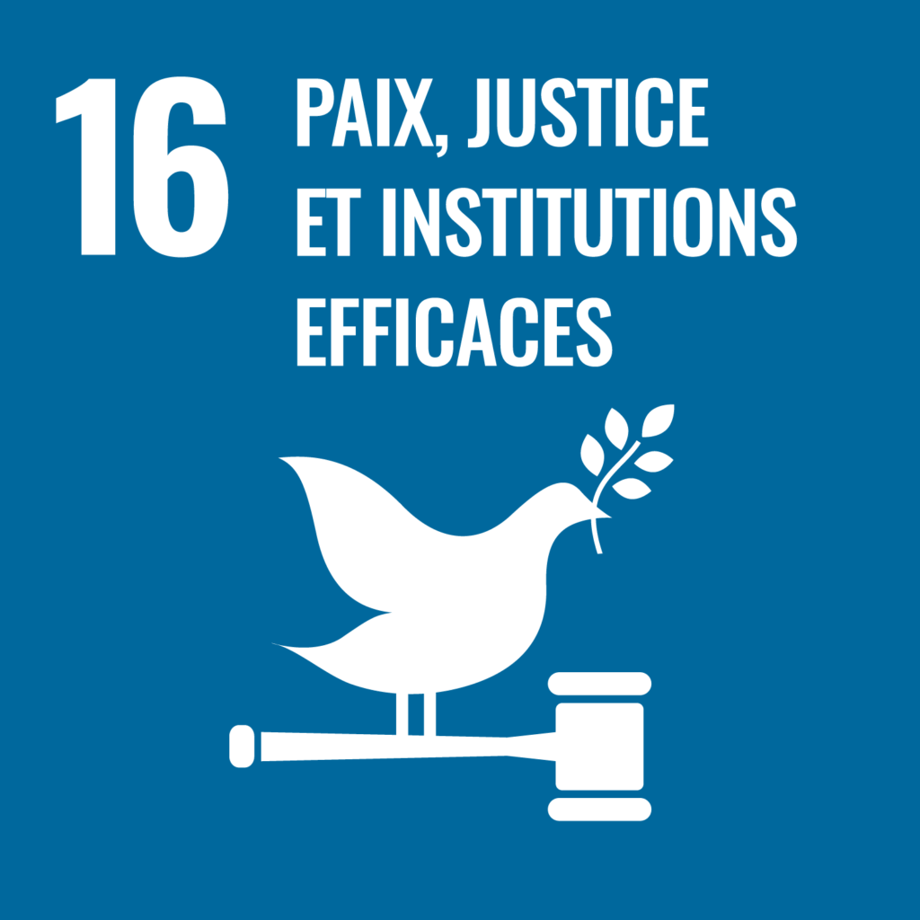 RSE 16 paix justice institutions efficaces