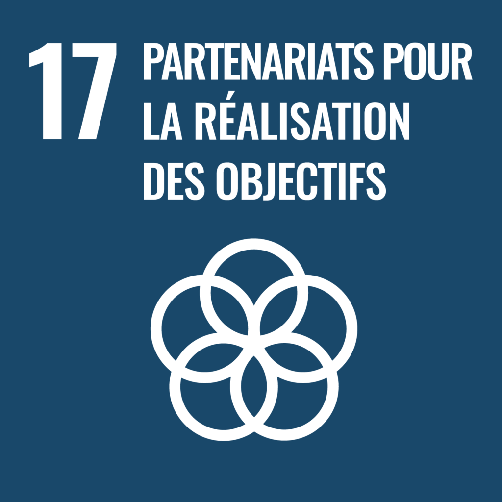 RSE 17 Partenariats pour realisation objectifs