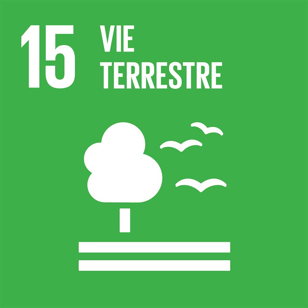 RSE-15-vie-terrestre RSE 13 lutte changements climatiques