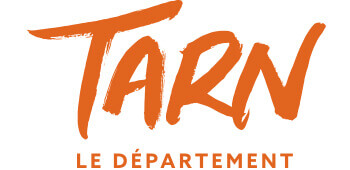 terne Logo VYV