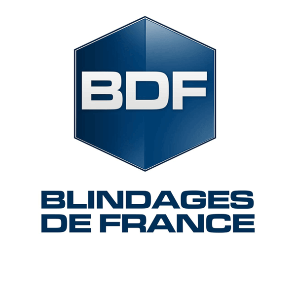 BDF Logo VYV