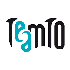 teamto Logo VYV