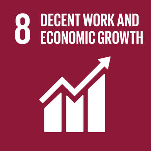decent work and economic growth RSE-08-croissance-economique