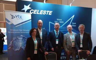 wholesale_celeste_capacity_europe_vignette